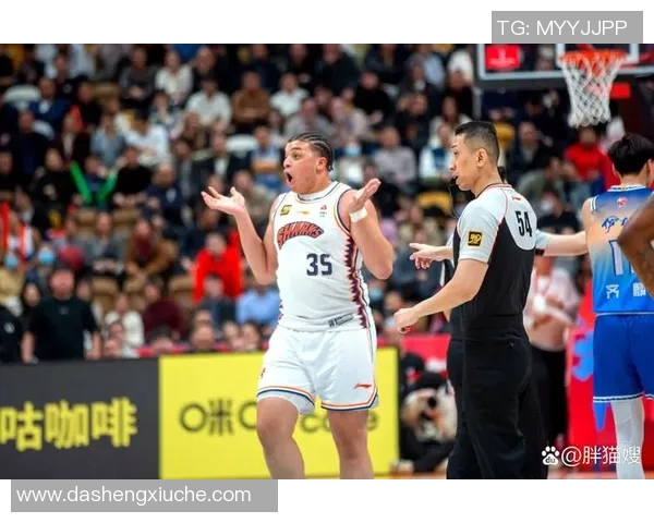 精彩对决排球直播上海队迎战江苏队全力争胜不容错过 精彩对决排球直播上海队迎战江苏队全力争胜不容错过