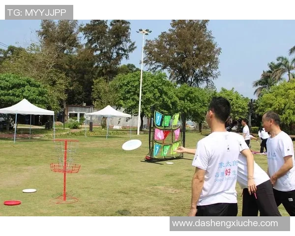 飞盘精神:深入分析成都飞盘队的心理素质与团队协作能力MBA 飞盘精神:深入分析成都飞盘队的心理素质与团队协作能力MBA