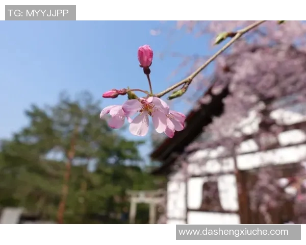 日联杯激战樱花对决札幌争夺晋级名额精彩回顾