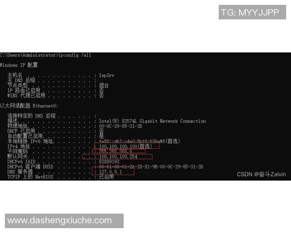 赛后分析V5与LNG对决中的战术灵活性与应变能力探讨