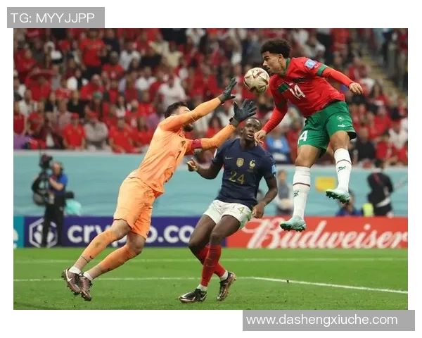 阿根廷与法国的远射对决精彩瞬间回顾与分析