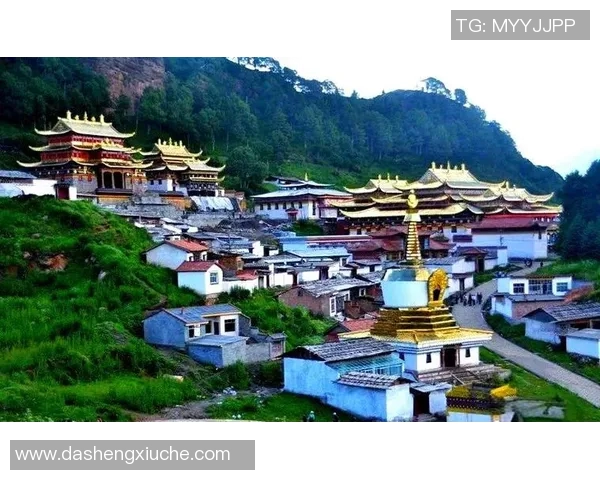 甘南篮球明星的崛起与发展探索展现地方体育文化的独特魅力与潜力