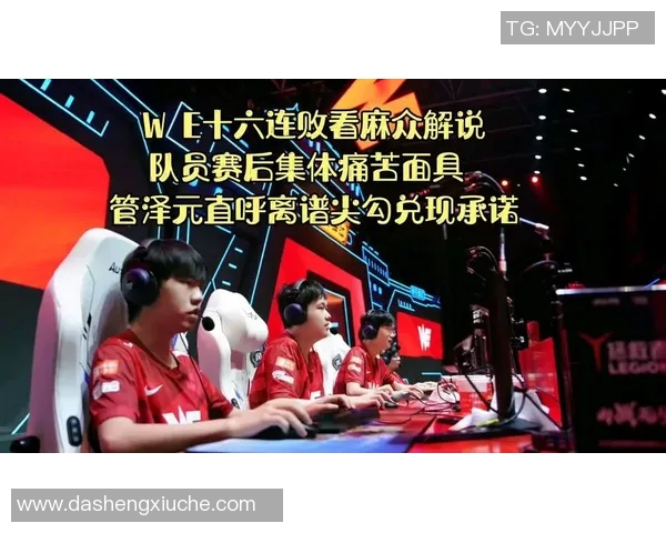 WE战队意识争议引发热议分析与讨论的深度解读