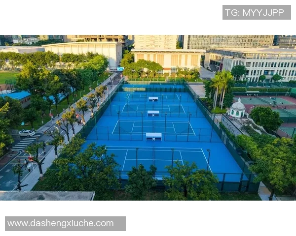 广州网球队的速度之谜：网球巨献背后的训练与技巧探讨